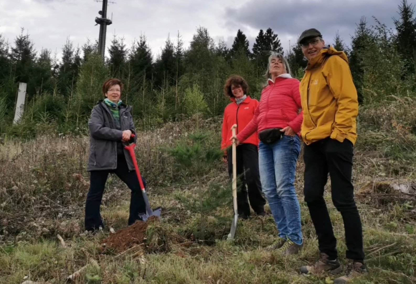 Unsere Baumpflanzchallenge 2025: